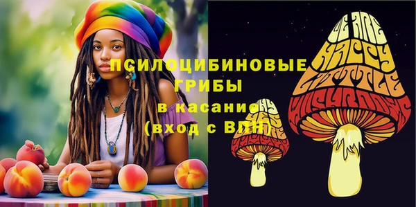 ешки Абдулино