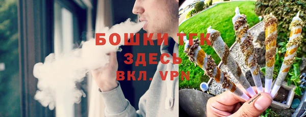молекула духа Алексеевка