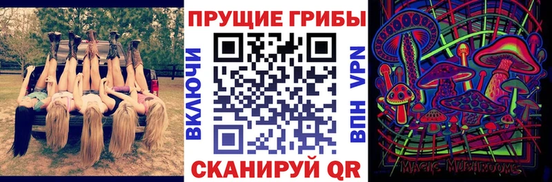 Галлюциногенные грибы Psilocybe  Северская 